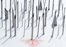 List do patomorfologa