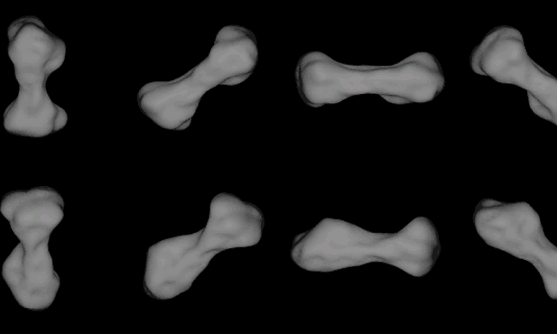 Astronomowie sfotografowali planetoidę o nietypowym kształcie psiej kości