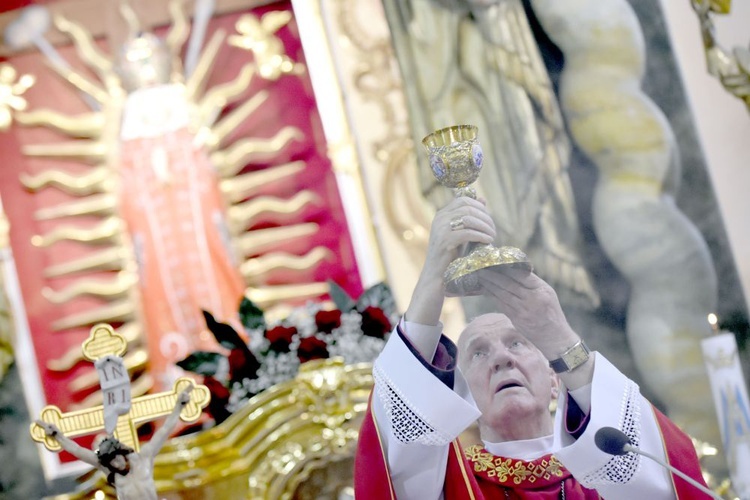 U Matki Bożej Bolesnej w Starym Wielisławiu