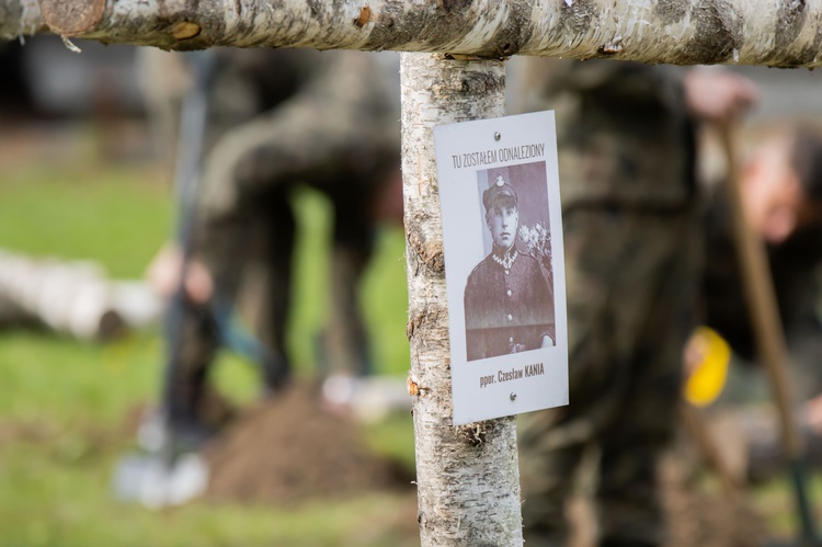 Bohaterom na Łączce. Nowe krzyże brzozowe na Powązkach Wojskowych