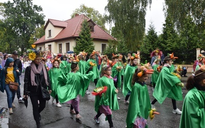 Kwiatowe rozmaitości i barwne corso