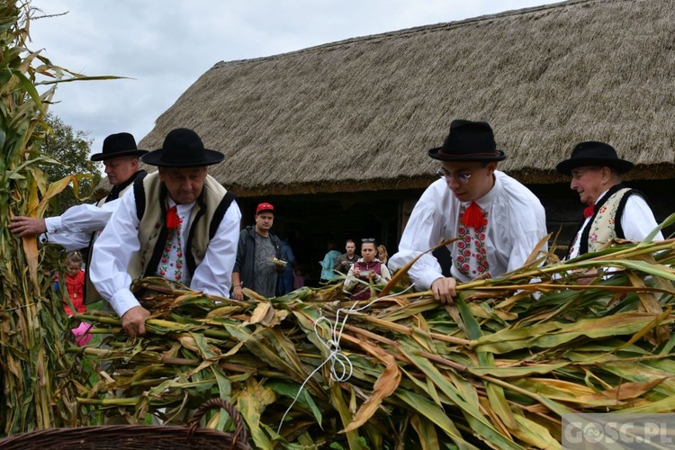 Łupaczka u Górali Bukowińskich