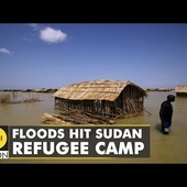 Heavy rains trigger floods in Sudan | Latest World English News | WION News | WION
