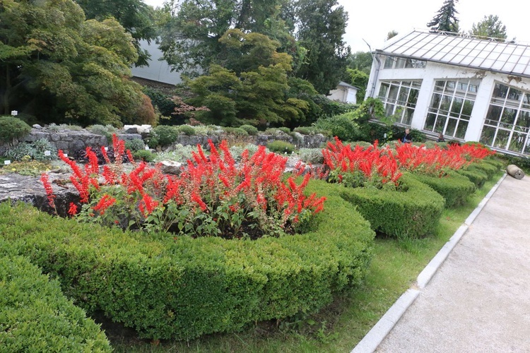 Fotografie Ogrodu Botanicznego w Krakowie