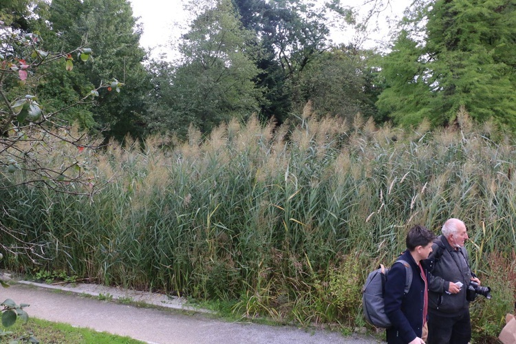 Fotografie Ogrodu Botanicznego w Krakowie