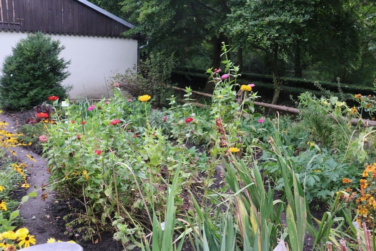 Fotografie Ogrodu Botanicznego w Krakowie