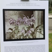 Fotografie Ogrodu Botanicznego w Krakowie