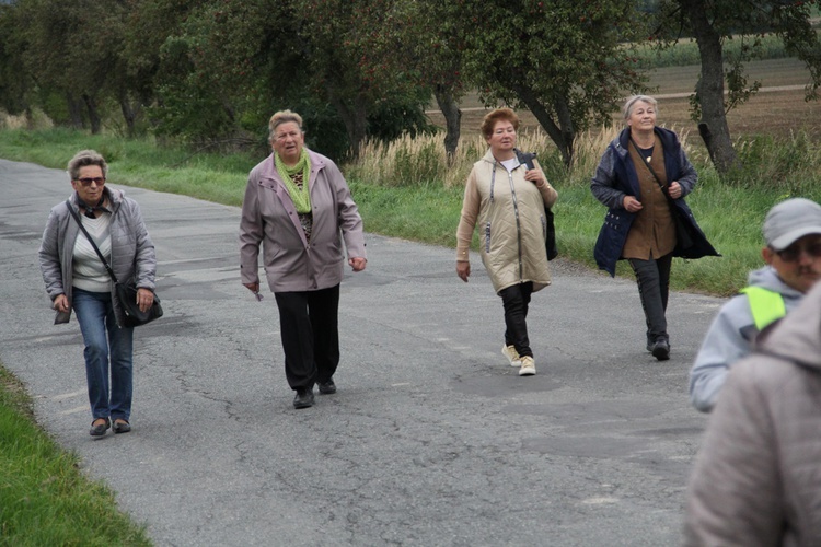 Z Ciepłowód do Kobylej Głowy