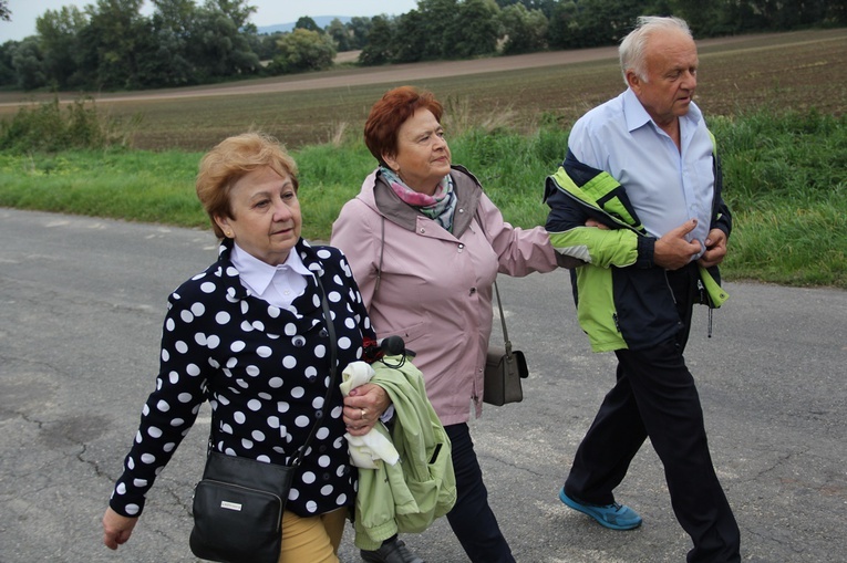 Z Ciepłowód do Kobylej Głowy