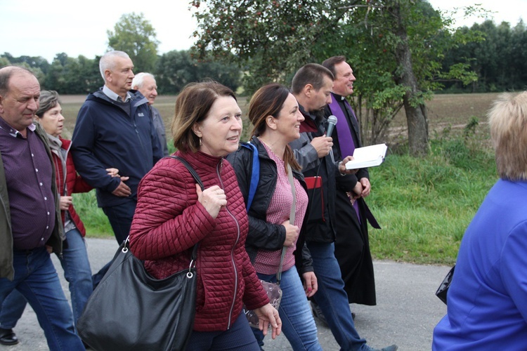 Z Ciepłowód do Kobylej Głowy