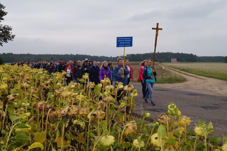 Pielgrzymka katechetów i nauczycieli