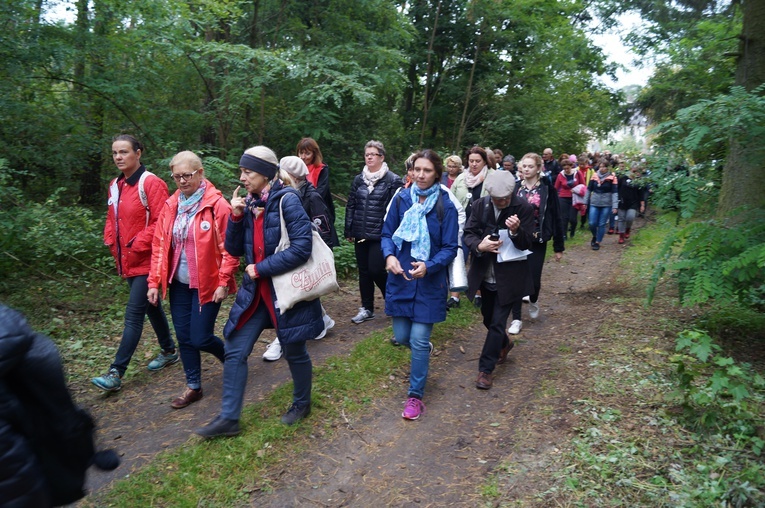 Pielgrzymka katechetów i nauczycieli