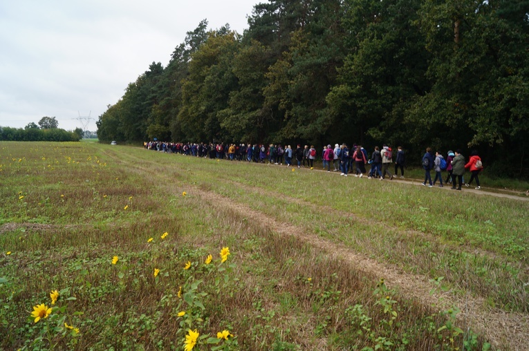 Pielgrzymka katechetów i nauczycieli