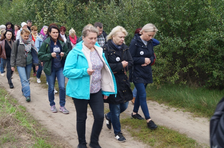 Pielgrzymka katechetów i nauczycieli
