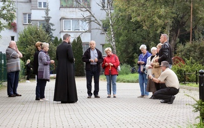 Legnica. Koronka na ulicach miast