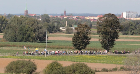 Epilog już za dwa tygodnie!