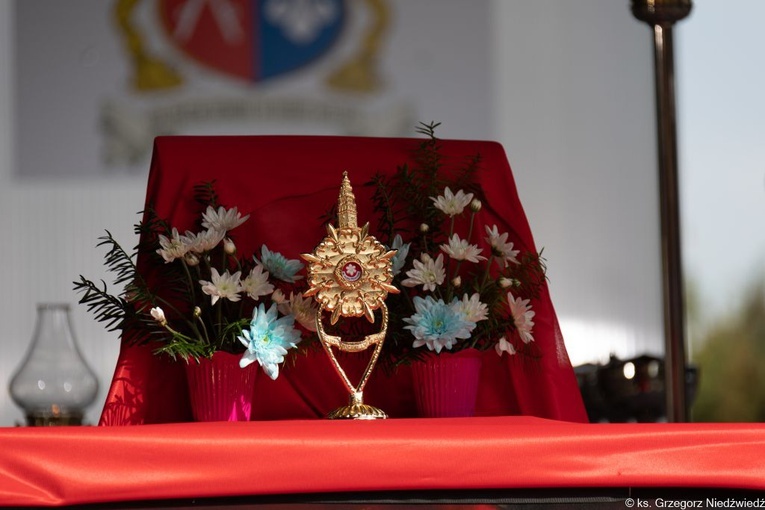 Pielgrzymka Żywego Różańca w Rokitnie