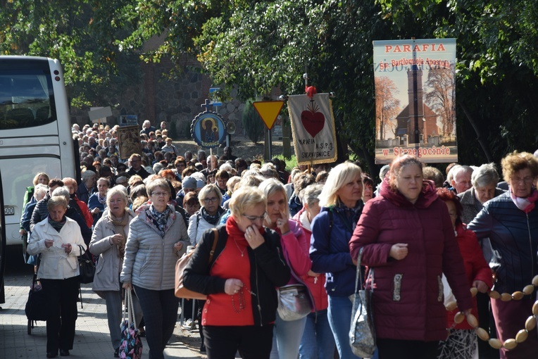 XVII Pielgrzymka Kół Żywego Różańca do Domaniewic 