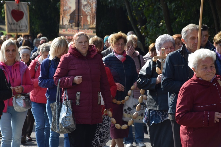 XVII Pielgrzymka Kół Żywego Różańca do Domaniewic 
