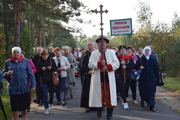 XVII Pielgrzymka Kół Żywego Różańca do Domaniewic 