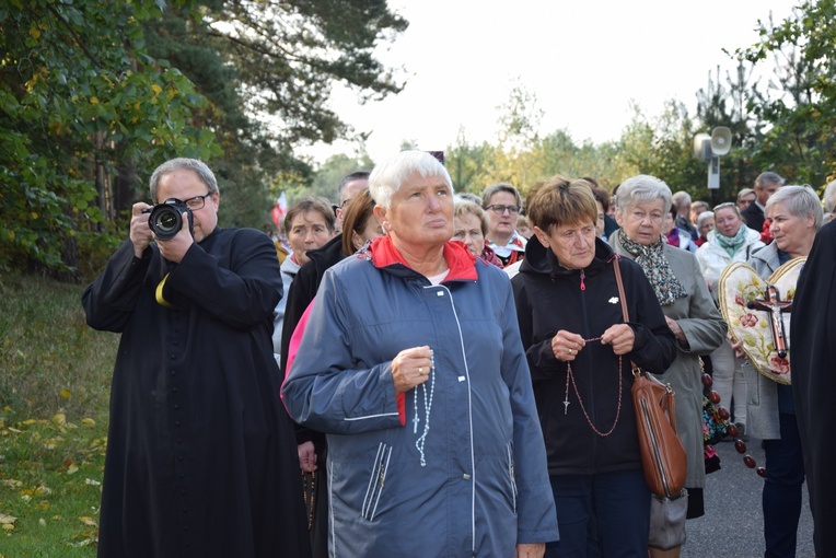 XVII Pielgrzymka Kół Żywego Różańca do Domaniewic 