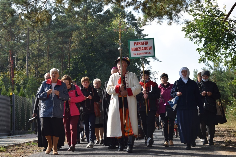XVII Pielgrzymka Kół Żywego Różańca do Domaniewic 