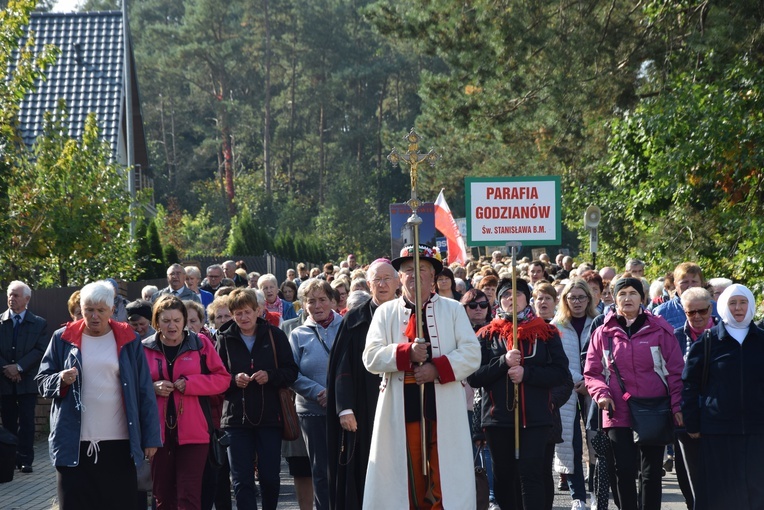 XVII Pielgrzymka Kół Żywego Różańca do Domaniewic 