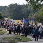 XVII Pielgrzymka Kół Żywego Różańca do Domaniewic 