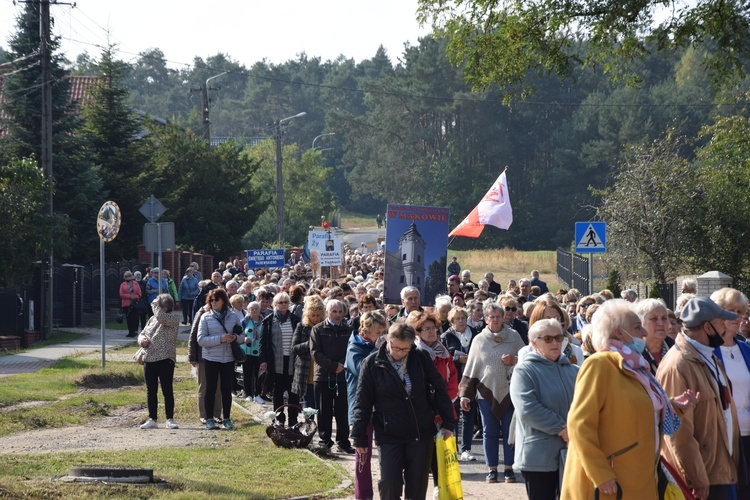 XVII Pielgrzymka Kół Żywego Różańca do Domaniewic 