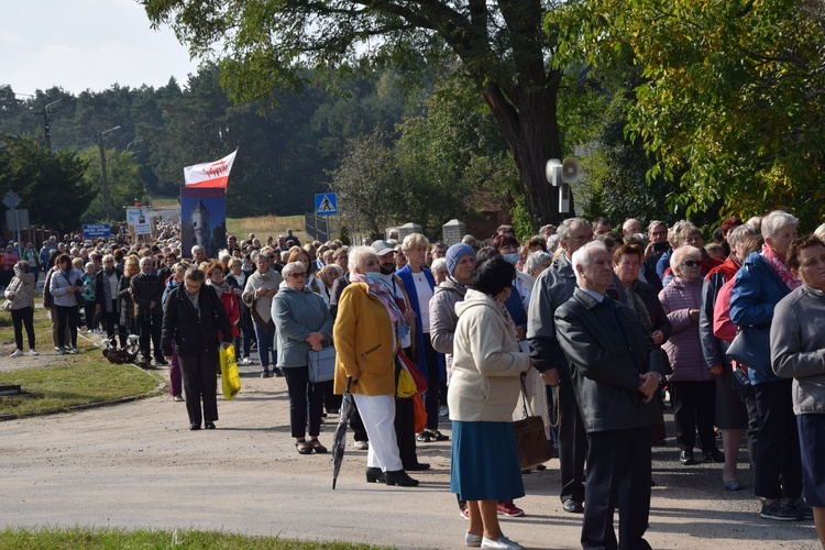 XVII Pielgrzymka Kół Żywego Różańca do Domaniewic 