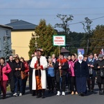 XVII Pielgrzymka Kół Żywego Różańca do Domaniewic 