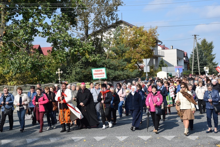 XVII Pielgrzymka Kół Żywego Różańca do Domaniewic 