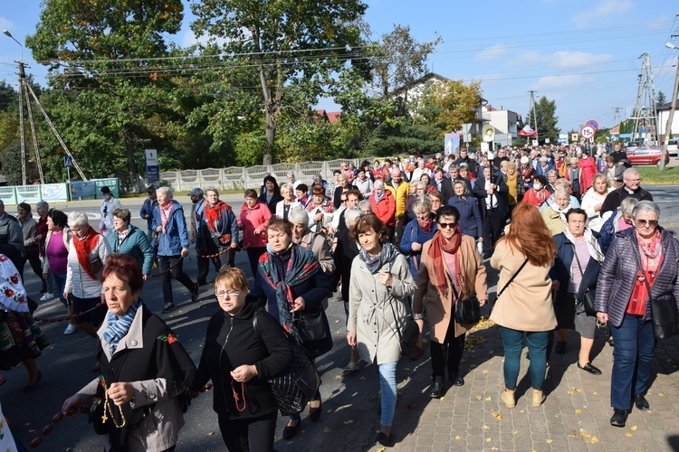 XVII Pielgrzymka Kół Żywego Różańca do Domaniewic 