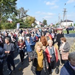 XVII Pielgrzymka Kół Żywego Różańca do Domaniewic 