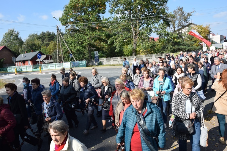 XVII Pielgrzymka Kół Żywego Różańca do Domaniewic 
