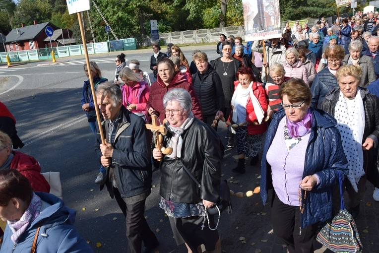 XVII Pielgrzymka Kół Żywego Różańca do Domaniewic 