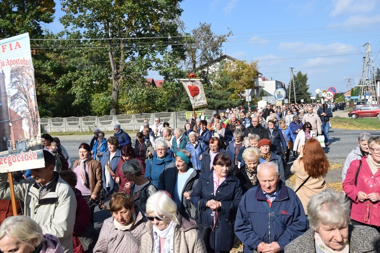 XVII Pielgrzymka Kół Żywego Różańca do Domaniewic 