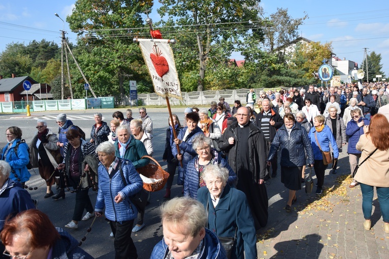 XVII Pielgrzymka Kół Żywego Różańca do Domaniewic 