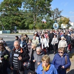 XVII Pielgrzymka Kół Żywego Różańca do Domaniewic 