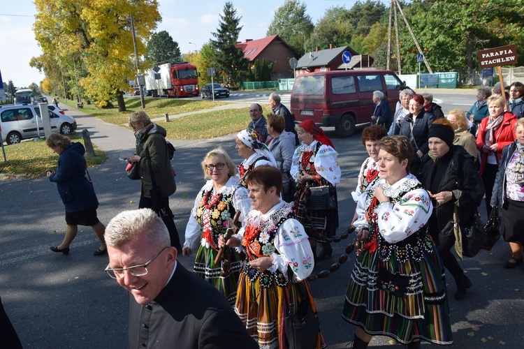 XVII Pielgrzymka Kół Żywego Różańca do Domaniewic 