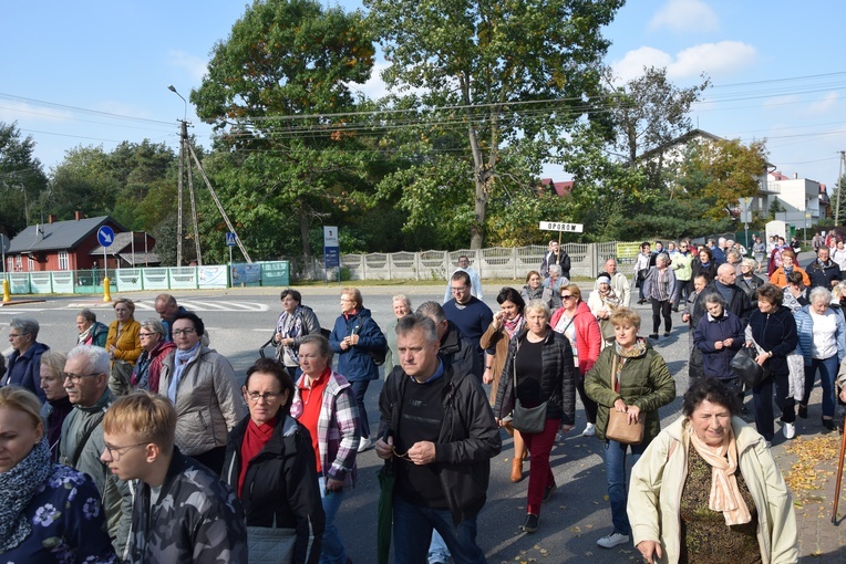 XVII Pielgrzymka Kół Żywego Różańca do Domaniewic 