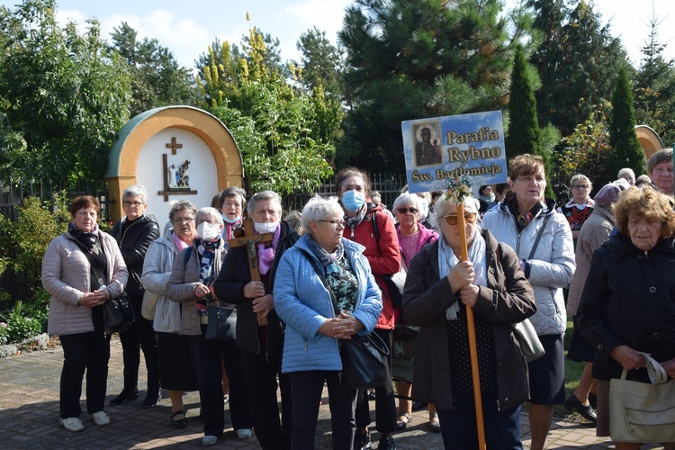 XVII Pielgrzymka Kół Żywego Różańca do Domaniewic 