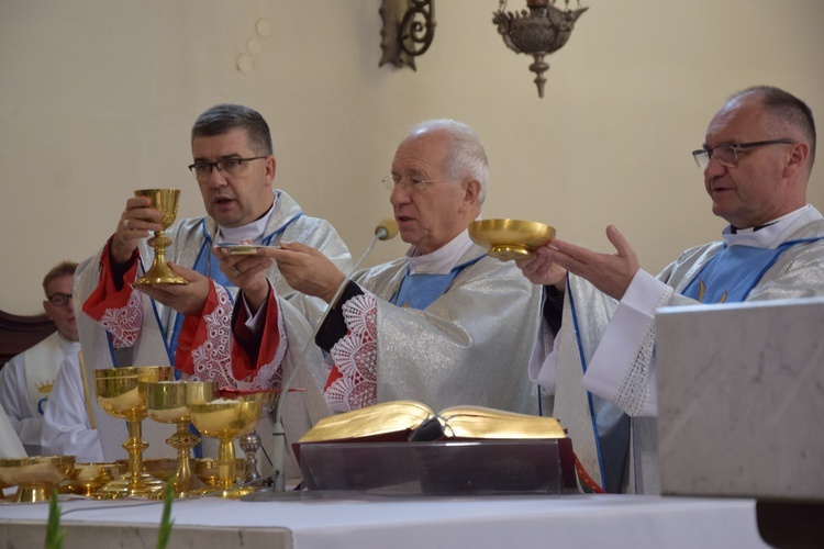 XVII Pielgrzymka Kół Żywego Różańca do Domaniewic 