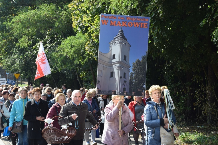 XVII Pielgrzymka Kół Żywego Różańca do Domaniewic 