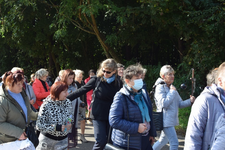 XVII Pielgrzymka Kół Żywego Różańca do Domaniewic 