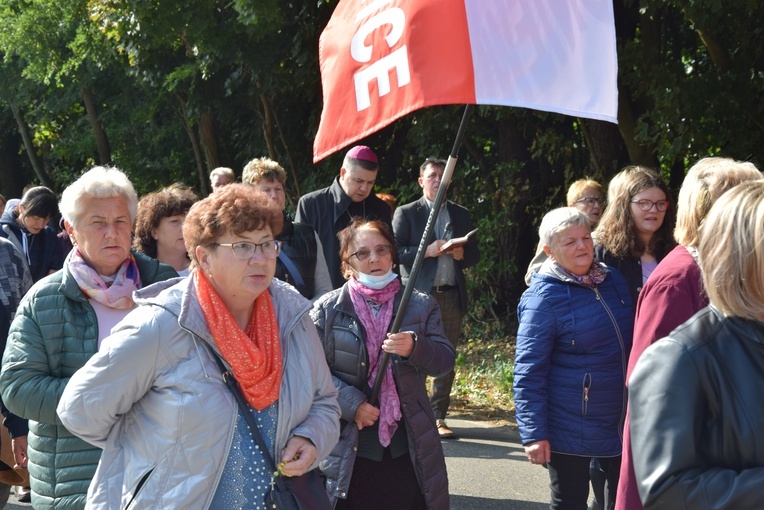 XVII Pielgrzymka Kół Żywego Różańca do Domaniewic 