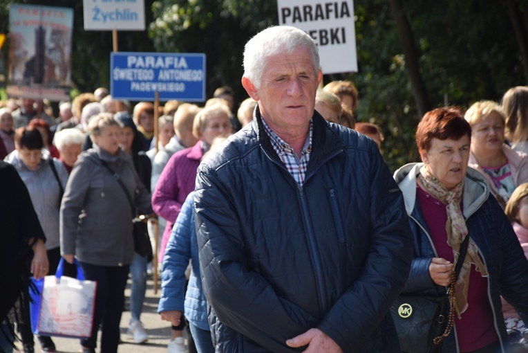 XVII Pielgrzymka Kół Żywego Różańca do Domaniewic 