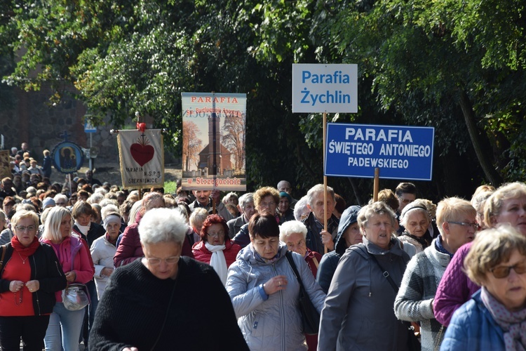 XVII Pielgrzymka Kół Żywego Różańca do Domaniewic 