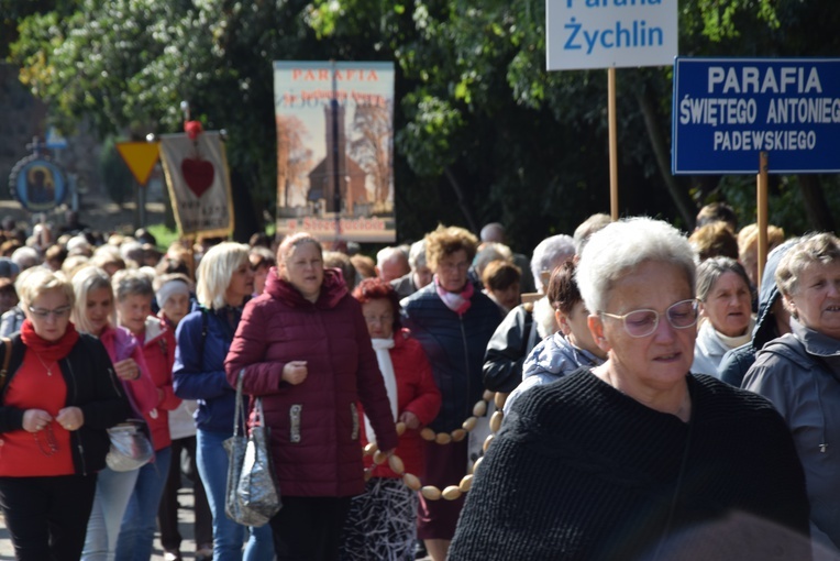 XVII Pielgrzymka Kół Żywego Różańca do Domaniewic 