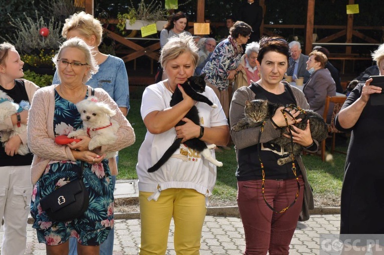 Niedziela św. Franciszka w Głogowie